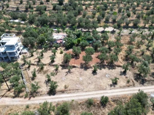DJI 0476