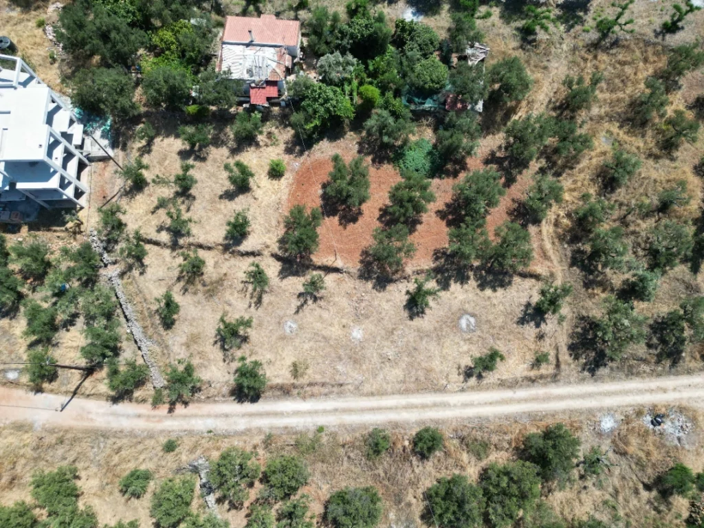 DJI 0477