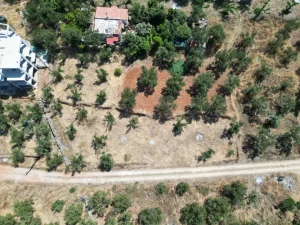 DJI 0477