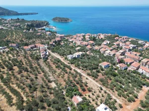 DJI 0481