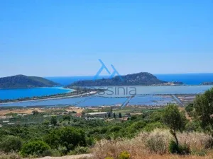 IMG 20250601 WA0000