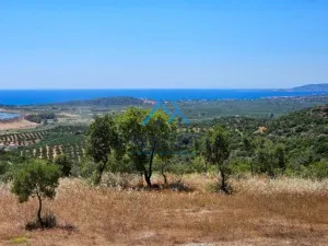 IMG 20250601 WA0005