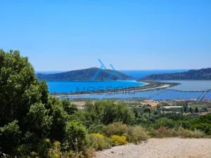 IMG 20250601 WA0006