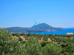 IMG 20250601 WA0010