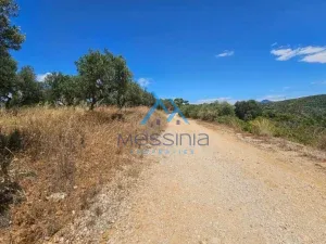 IMG 20250601 WA0011