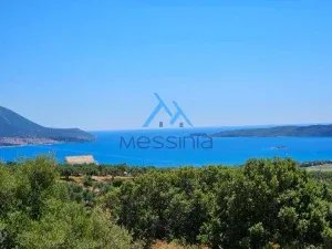 IMG 20250601 WA0013