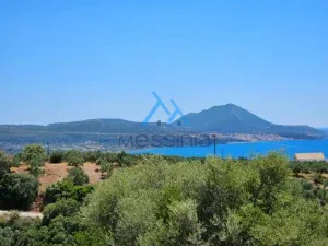 IMG 20250601 WA0015
