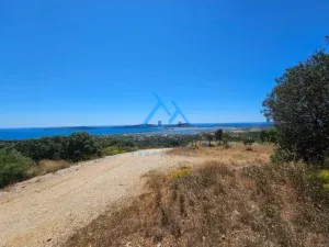IMG 20250601 WA0018