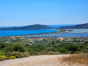 IMG 20250601 WA0021