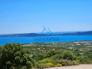 IMG 20250601 WA0023