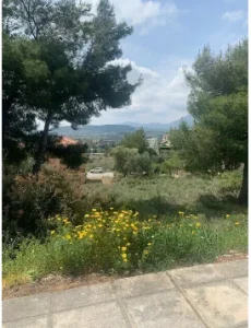 FOTO 1 1