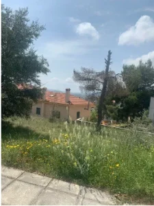 FOTO 2 1