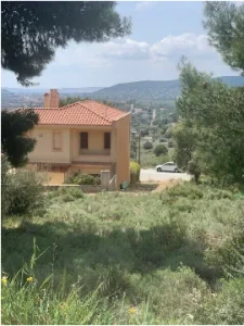 FOTO 3 1