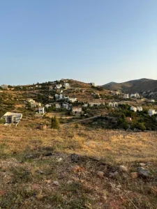 IMG 0081 1