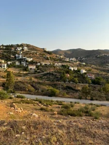 IMG 0088 1
