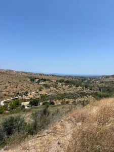 IMG 3722