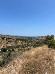 IMG 3723