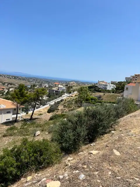 IMG 3727 1