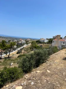 IMG 3728 1