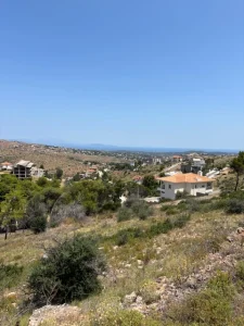 IMG 3732 1