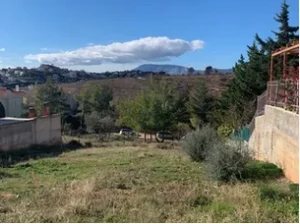 ΔΙΩΝΗ 500 1