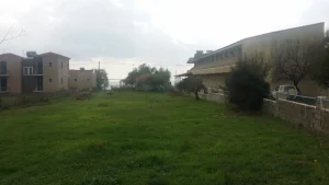 20191128 114342