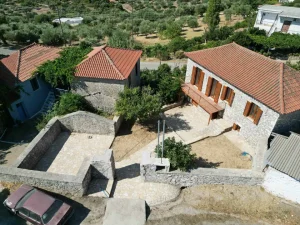 DJI 0409