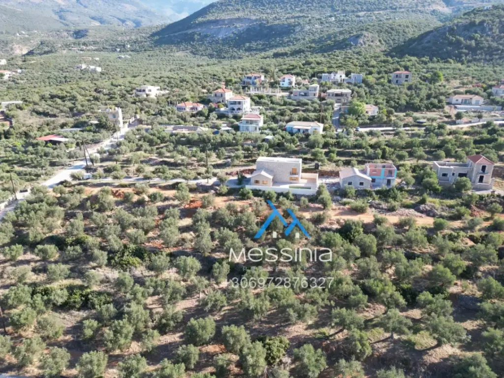 DJI 0619