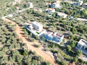 DJI 0623