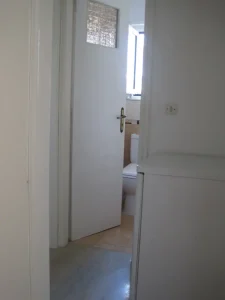 IMG 3250