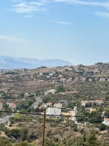 IMG 4251 1