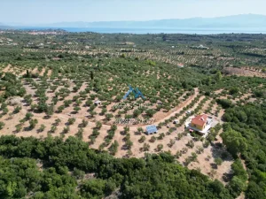 Dji Fly 20250628 165816 647 1754918579136 Photo