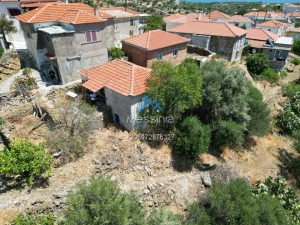 Dji Fly 20250628 190244 658 1754918547161 Photo