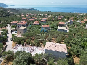 Dji Fly 20250702 174110 678 1755086082587 Photo