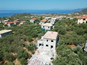 Dji Fly 20250702 174126 679 1755086080867 Photo