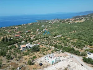 Dji Fly 20250702 180222 696 1755086051774 Photo
