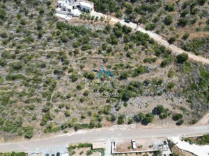 Dji Fly 20250702 185944 720 1755086011015 Photo