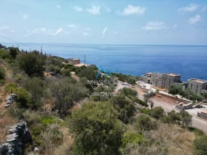 Dji Fly 20250702 190134 725 1755086002372 Photo