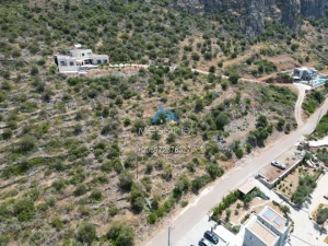 Dji Fly 20250702 190258 727 1755085998673 Photo