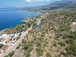 Dji Fly 20250702 190322 728 1755085996848 Photo