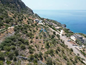 Dji Fly 20250702 190342 730 1755085993025 Photo