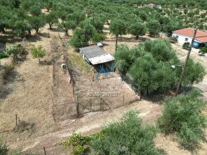 Dji Fly 20250711 184028 732 1755855710174 Photo