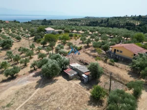 Dji Fly 20250711 184054 734 1755855705602 Photo