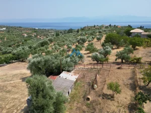 Dji Fly 20250711 184106 735 1755855704126 Photo