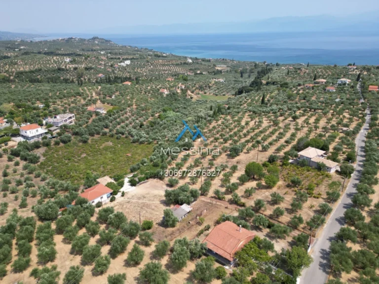 Dji Fly 20250711 184210 737 1755855700149 Photo