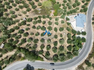 Dji Fly 20250716 185944 744 1756292850211 Photo