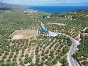Dji Fly 20250716 190008 745 1756292848329 Photo