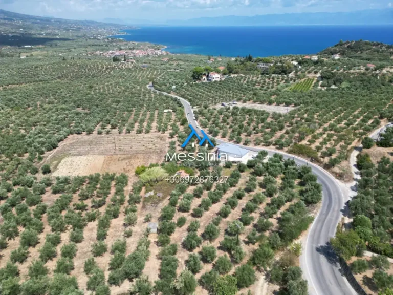 Dji Fly 20250716 190008 745 1756292848329 Photo