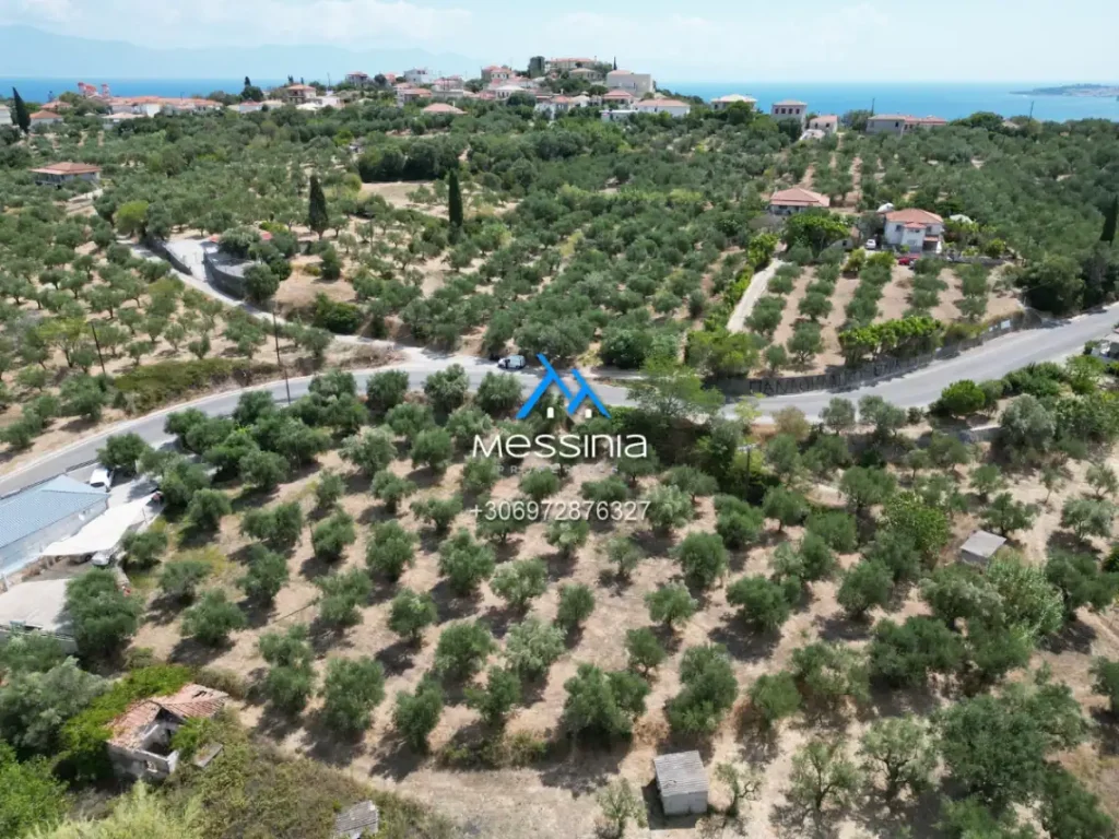 Dji Fly 20250716 190036 746 1756292846086 Photo