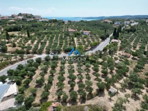 Dji Fly 20250716 190046 747 1756292844071 Photo
